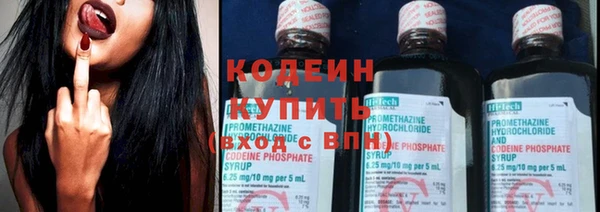 шишки Вяземский