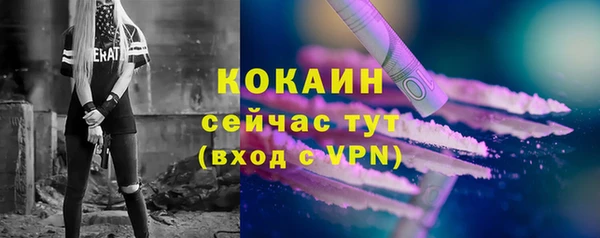 сатива Вязьма