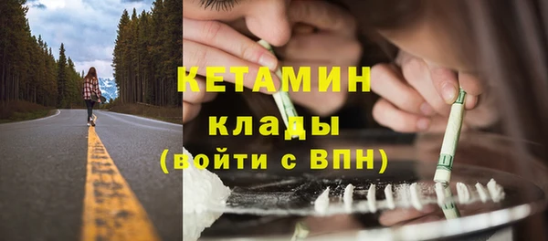 сатива Вязьма