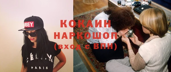 сатива Вязьма