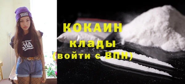 сатива Вязьма