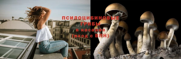 гидра Тутаев
