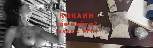 гашик Вязники