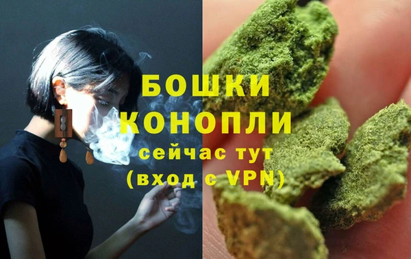 шишки Вяземский