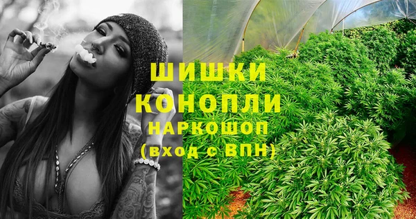 шишки Вяземский