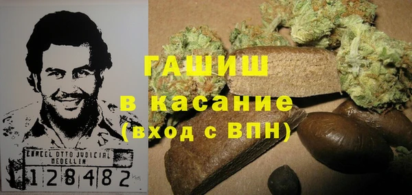 шишки Вяземский