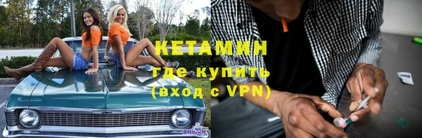 шишки Вяземский