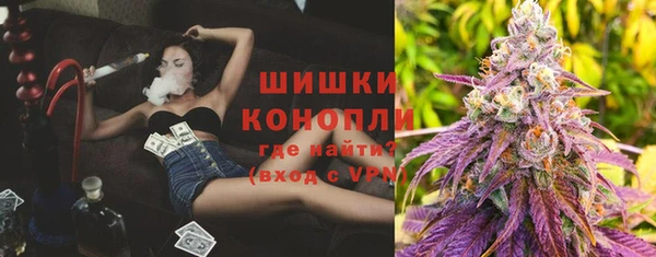 сатива Вязьма